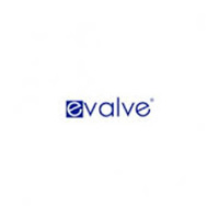 e valve logo
